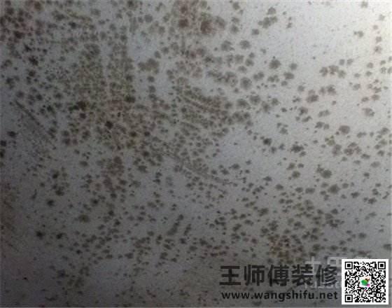 旧貌如何换新颜 老旧墙面翻新5大技巧! 旧貌如何换新颜 老旧墙面翻新5大技巧!