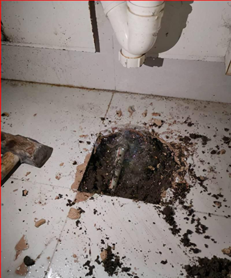 自动草稿 自动草稿