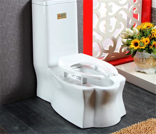蹲坐两用式便器的优缺点有哪些 坐蹲两用马桶的利弊分析 - 选购指南