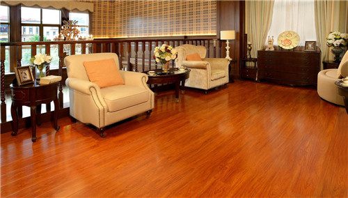 客厅铺木地板好还是瓷砖好 木地板与瓷砖的优点 - 选购指南