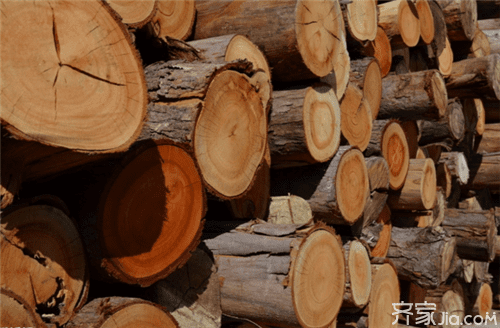 实木是什么木 常见实木的种类介绍 - 翻新攻略