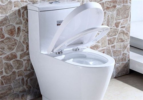 如何选马桶更实用 选购马桶的5大技巧 - 选购指南