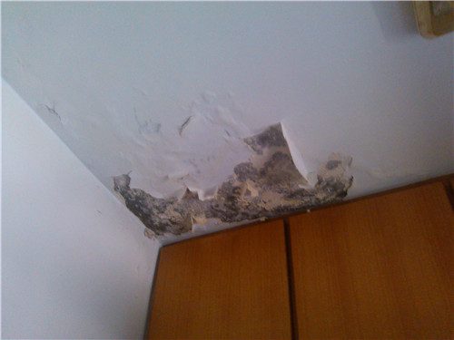 房屋漏水怎么处理 检查房屋漏水的原因 - 翻新攻略
